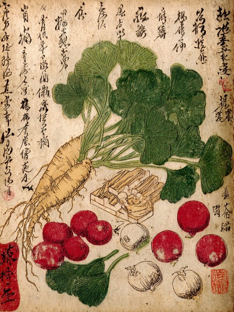 jackrabbit picture as if from an old medical book depicting h 01d7f764 168b 44f2 be74 e2e0684712b1 0 Image of Chinese Medicine herbs with accompanying text.